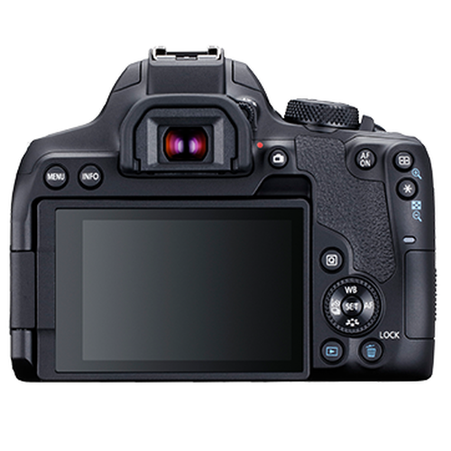 EOS 850D (EF-S18-55mm f/4-5.6 IS STM)